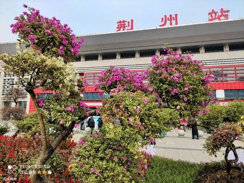 麗水到荊州物流專線-麗水至荊州貨運公司